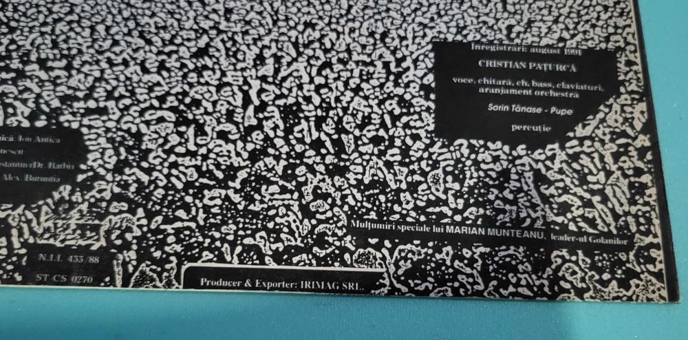 Disc vinil Din cîntecele golanilor