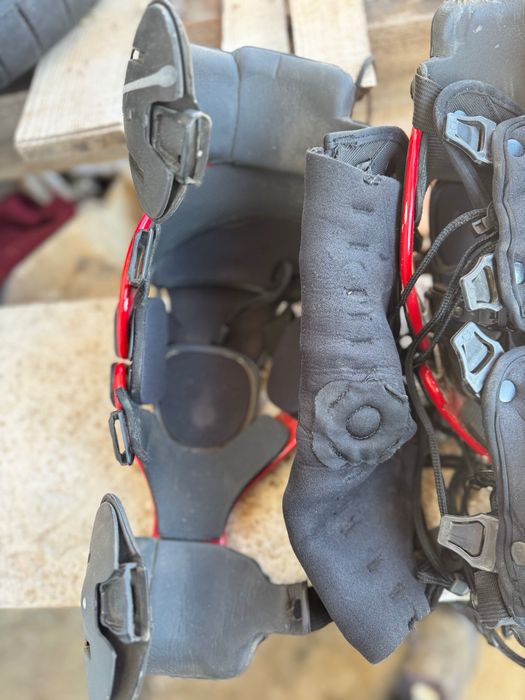 Asterisk genunchiere