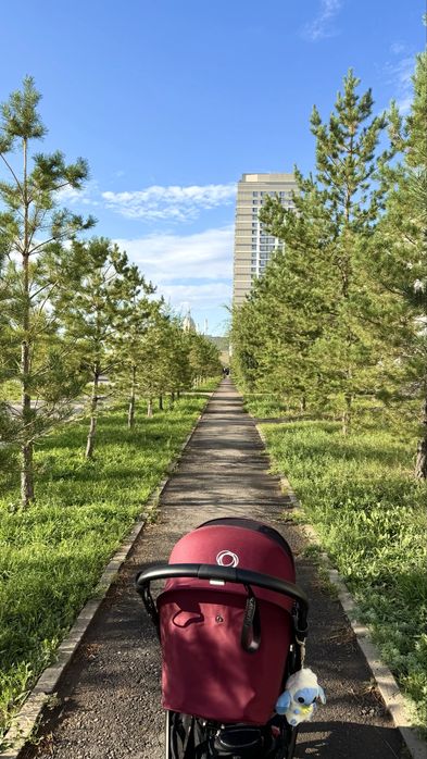 Продам коляску Bugaboo Butterfly