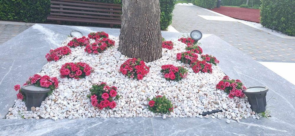 Снежно бял камък(чакълен)за декорация на градинки дворни площи