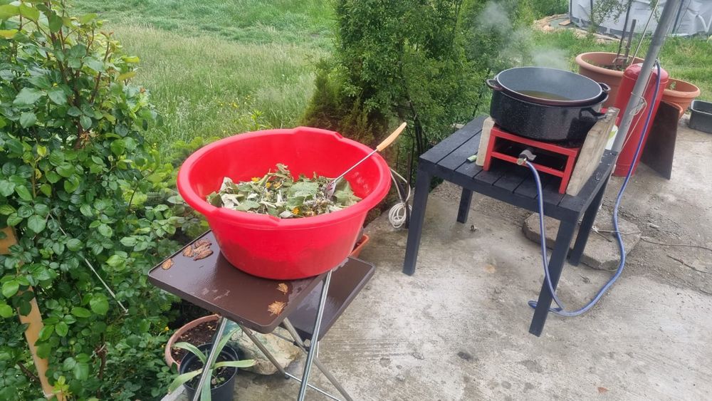 Crema & Unguent Brusture + 10 plante ( Salvie Rostopasca Tătăneasă ..)