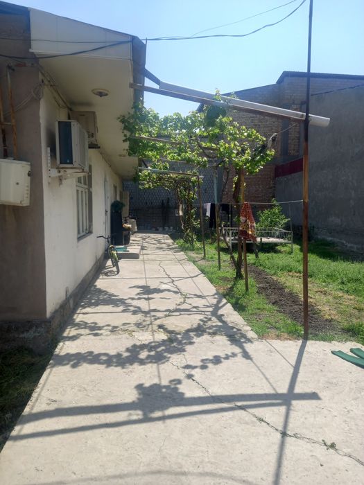 Yangihayot tumanida uchastka sotiladi