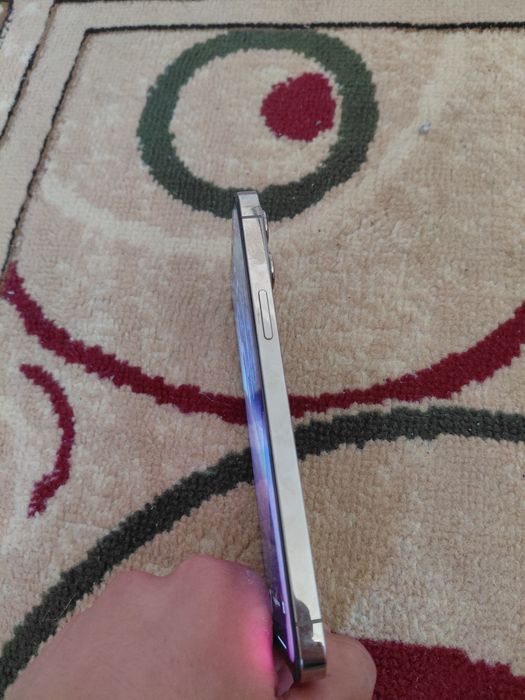 Iphone 12 pro max