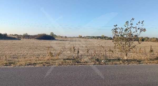 5дка с лице на скоростен път до Пловдив! Маноле! 72058