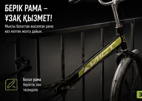 түркістан,велик аист