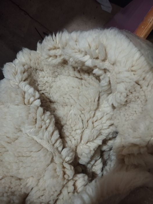 Родопски китеници