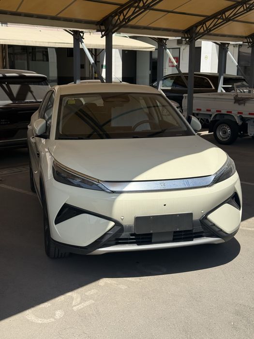 Byd young plus  Ev 445km