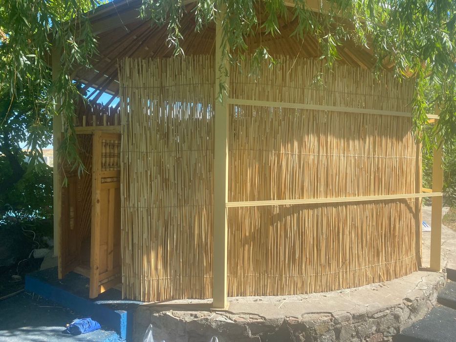 Декоративный камыш!!!