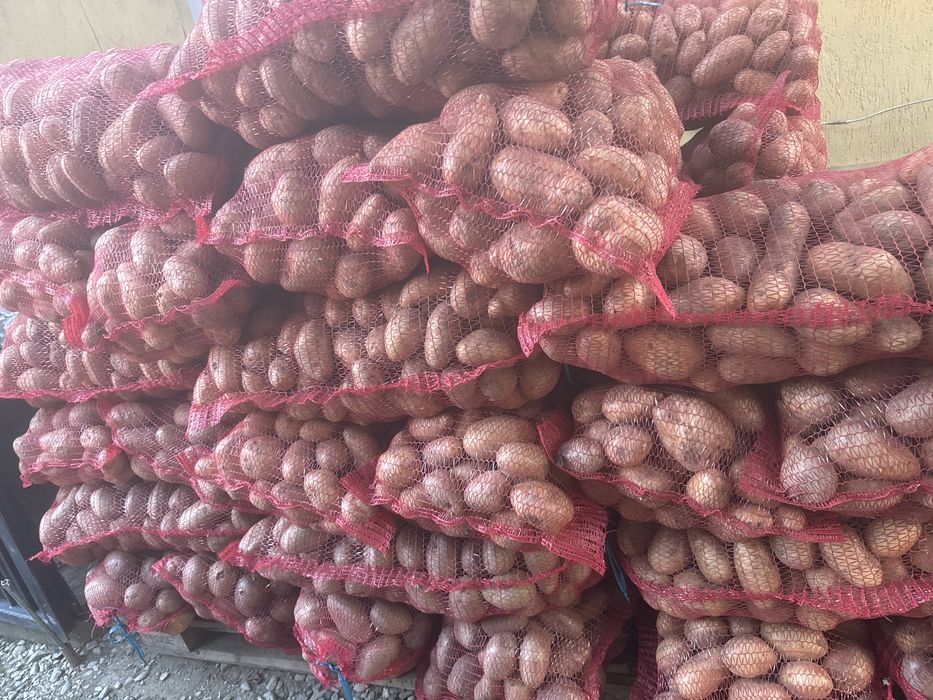 vand cartofi de consum