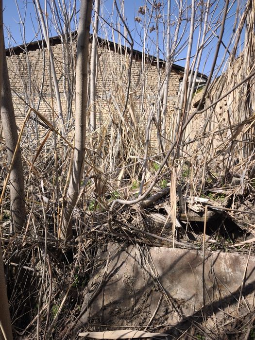 Продаётся земельный участок 4,8 соток  Яккасарай район Улица Хумо Хумо