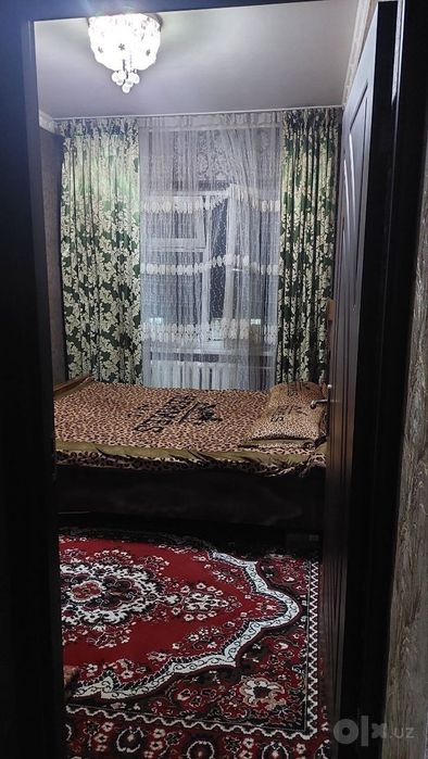 Кора камиш Тансикбоев 3