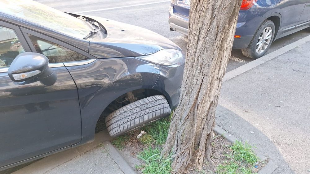 FORD Fiesta 2014 — imagine 2