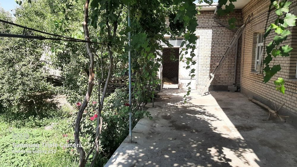 Участка Бухоро вил Шофиркон тумани махаллакози махалласида жойлашган