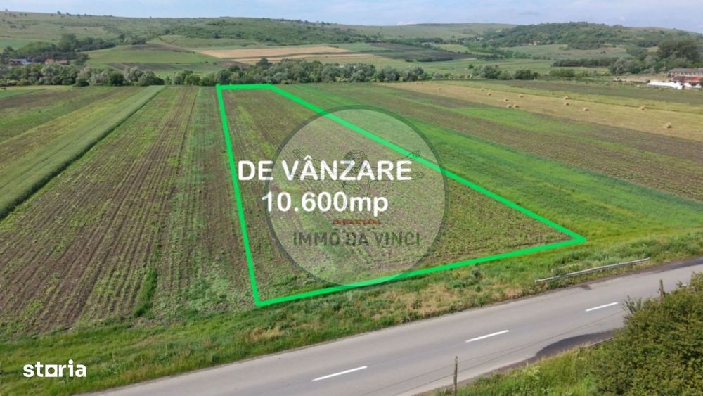 Teren 10.670 mp | Borșa Cluj | Front 38m | Utilități