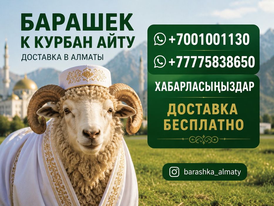 Барашек с доставкой Алматы