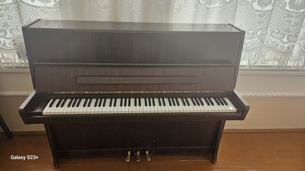 Пионина в хорошем состоянии