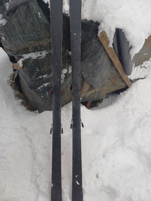 Schiuri salomon automate