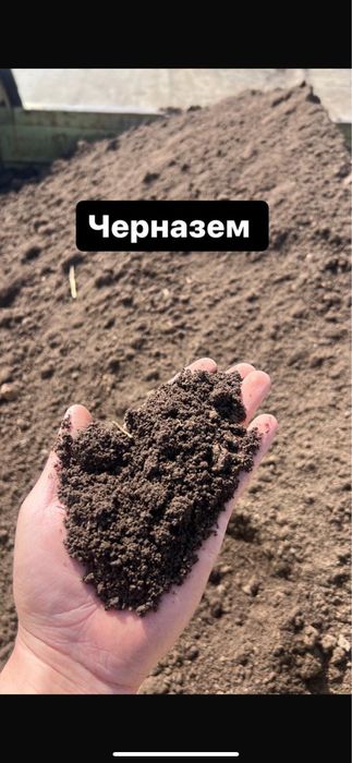 Продается черназем,перегной