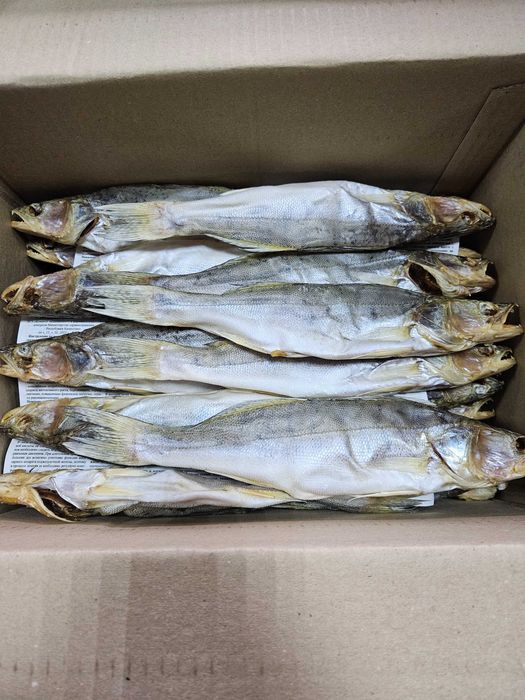 Вяленная вобла,чехонь