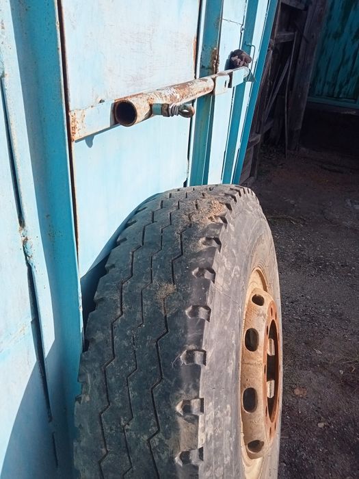 Хова шансиман 320х508