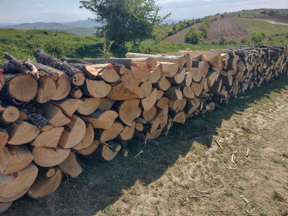 Lemne de foc acati
