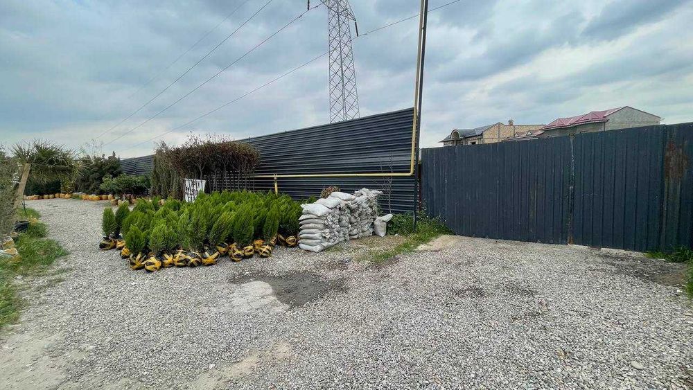 Qoyliq 7 massivda 35 sotix betonka joy arendaga (katta yo‘l bo‘yida)
