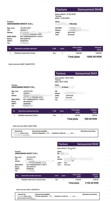 Matematica - engleză meditații