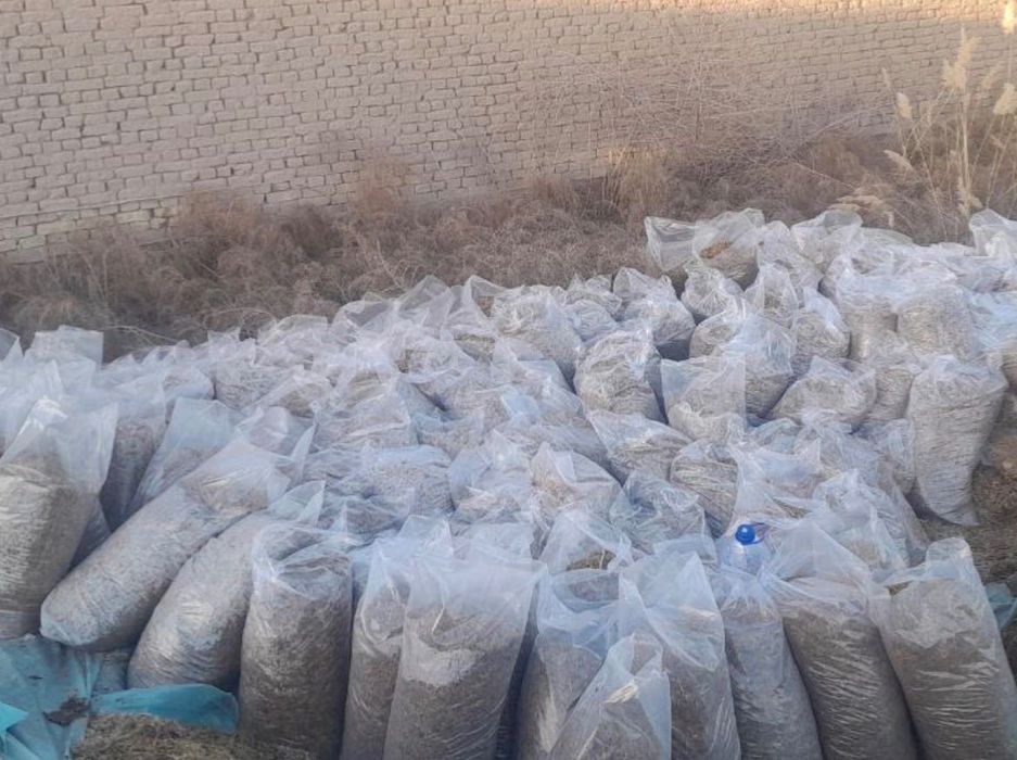 Силос килоси 900 сўмдан чекланмаган миқдорда