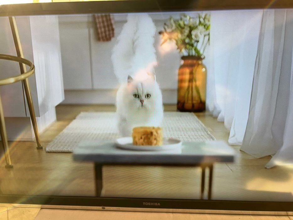 Телевизор Toshiba 32