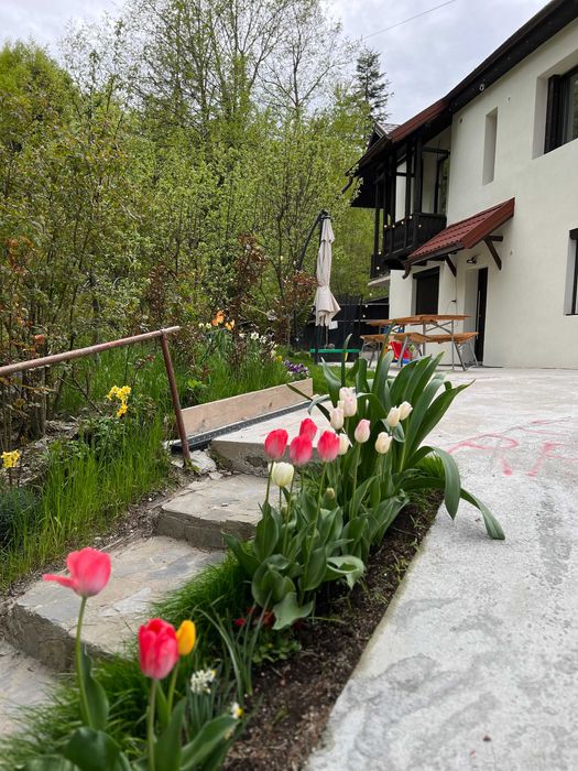 Apartament de inchiriat in vila, Sinaia