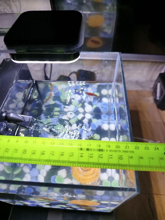 Аквариум атман 4та баликлари билан