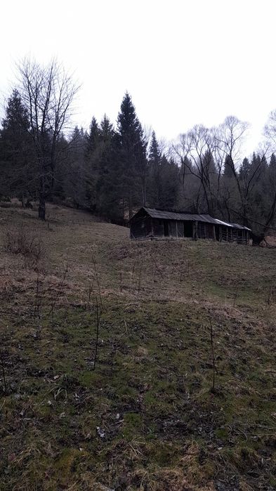 Vand teren extravilan in comuna Brodina, judetul Suceava