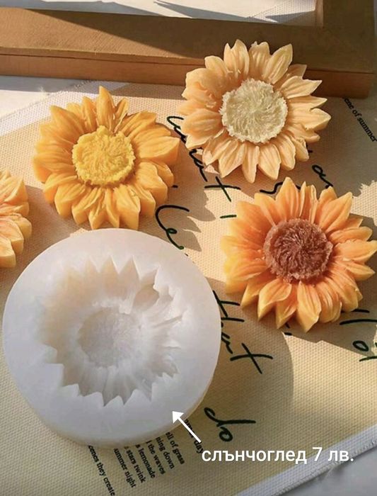 Нови модели молд