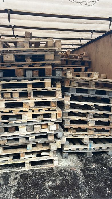 Поддоны штучно 800 оптом 500