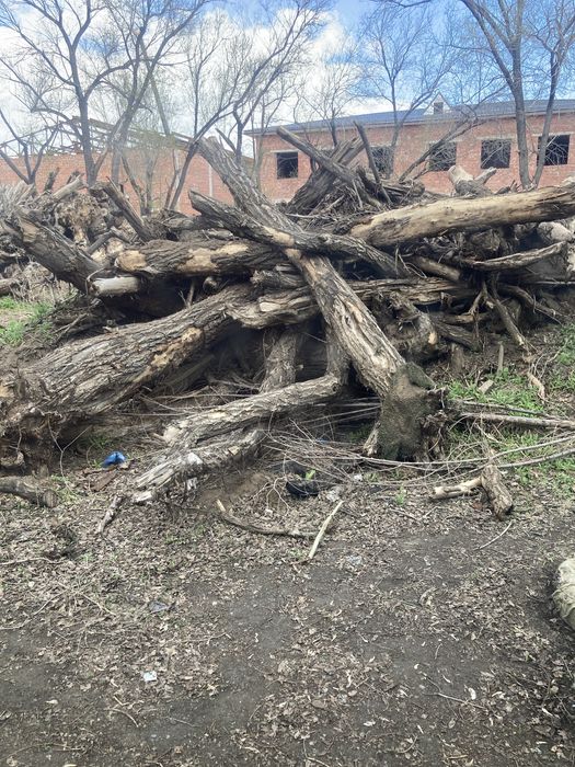 Дрова древесные уголь