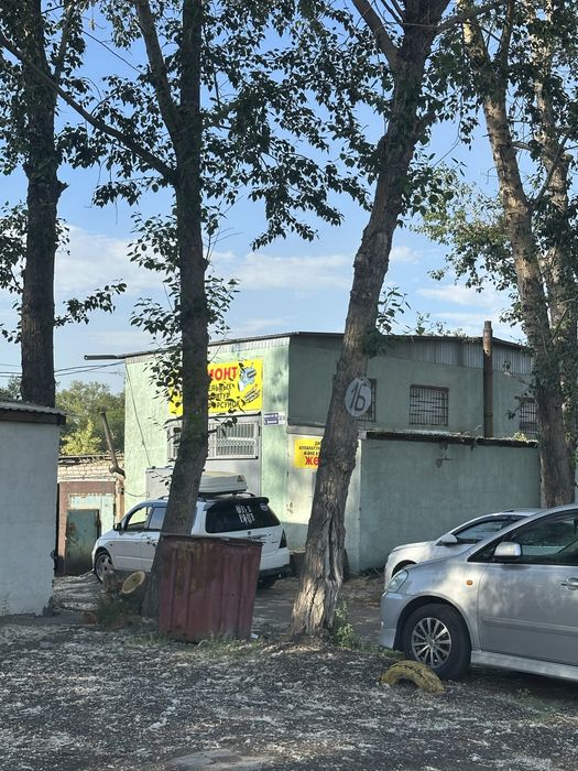 Гараж на циалеовского