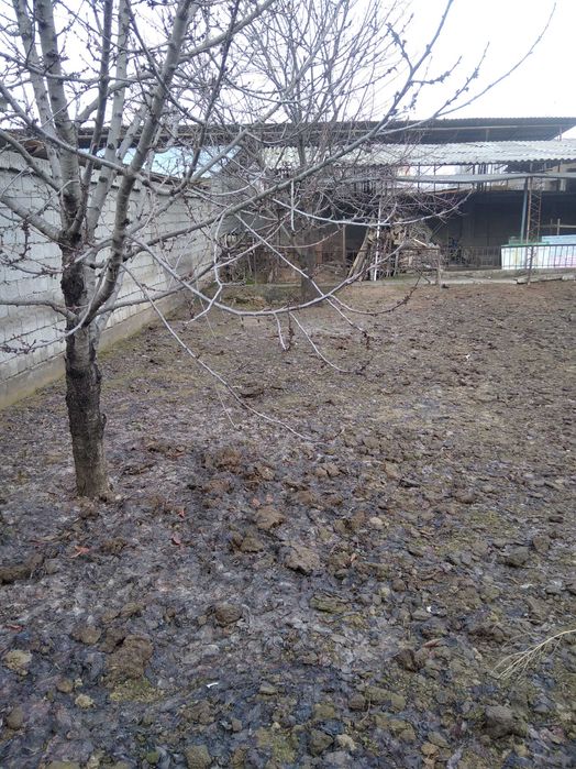 Yer sotiladi 2 sotix Eshonguzar Shoim koʻprikda 25min$