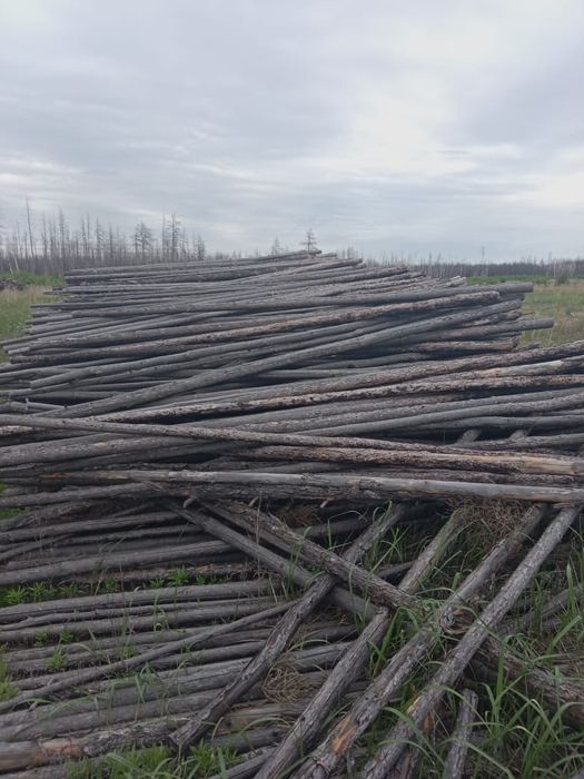 Продам жерди ...