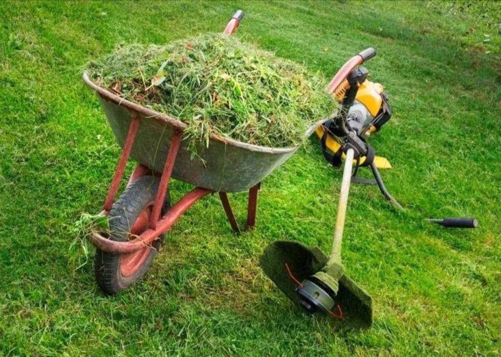 Услуги садовника