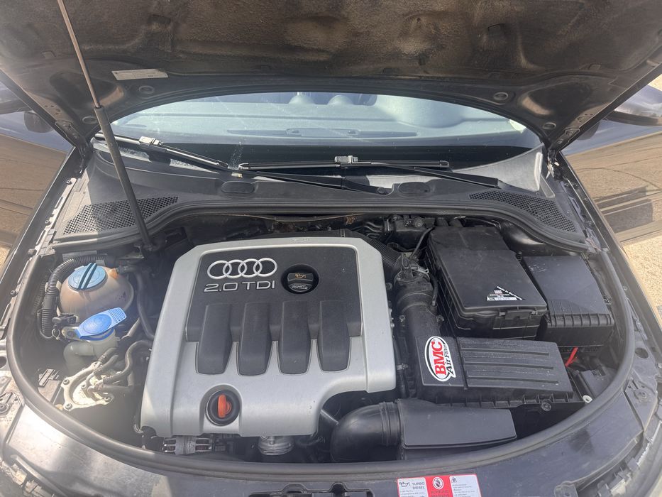 Audi A3 8P coupe