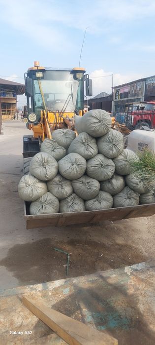 Стружка дерево продам