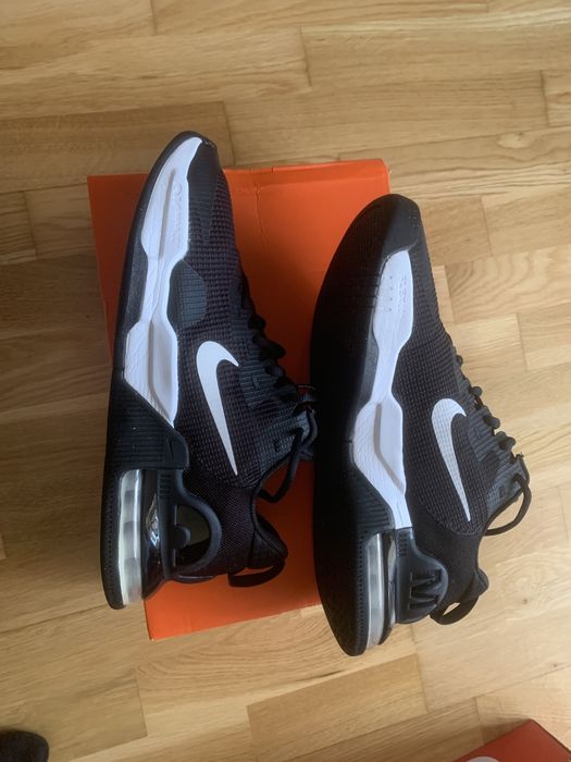 Adidași Nike Air MaxAlpha Trainer 5