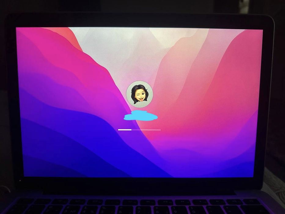MacBook Pro 13 (Early 2015) Retina / SSD 256 GB