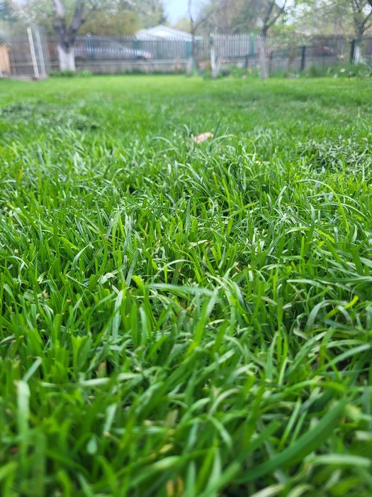 Executam Lucrari Gradinarit,Defrisari,Debarasari,Garduri,Placi,Terase