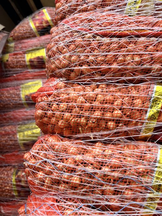 Vand arpagic diferite soiuri Stuttgarter, Sturon, Red Karmen