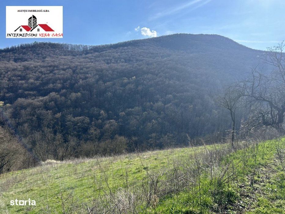 Teren intravilan - extravilan 9,3 Ha de vanzare Matacina Jud Alba