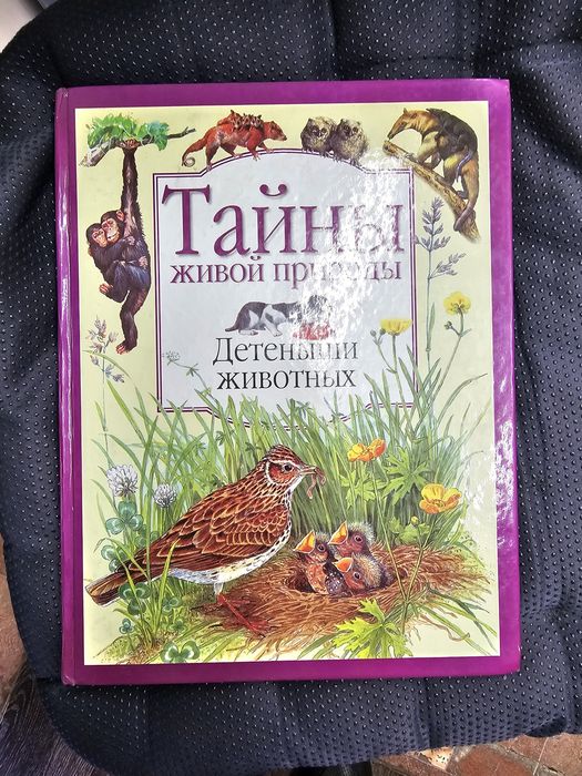 Книги подростковые