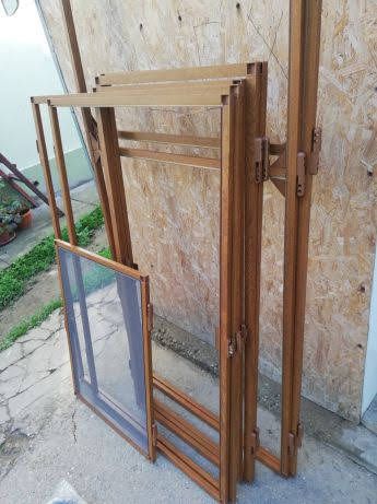 Plase țânțari (insecte)