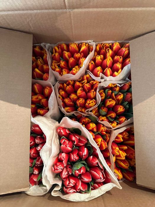 Доставка тюльпаны до двери