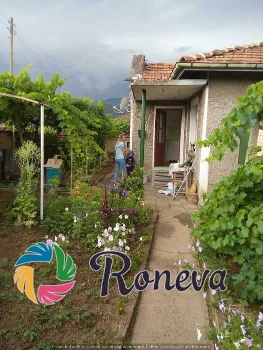 Едноетажна къща с двор с.Ново Янково